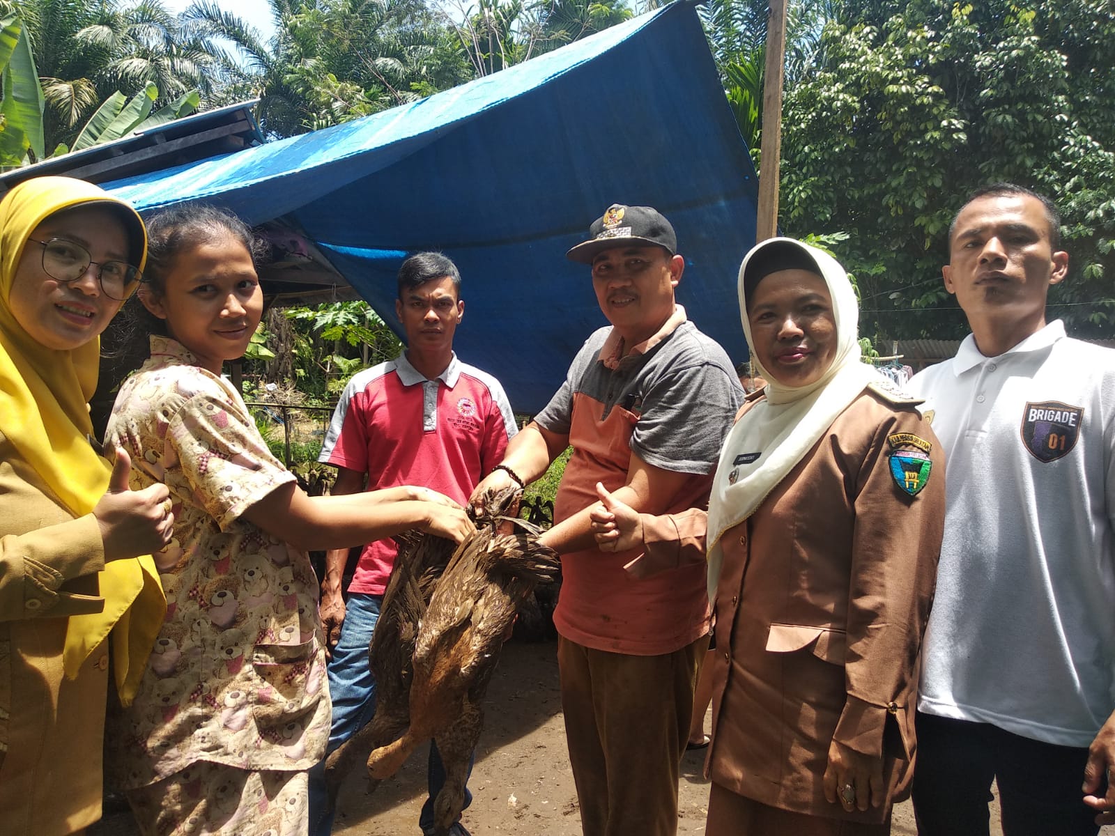 Penyaluran Bantuan Hewan Ternak Dalam Kegiatan Ketahanan Pangan dan Hewani di Nagari Lubuk Betung In