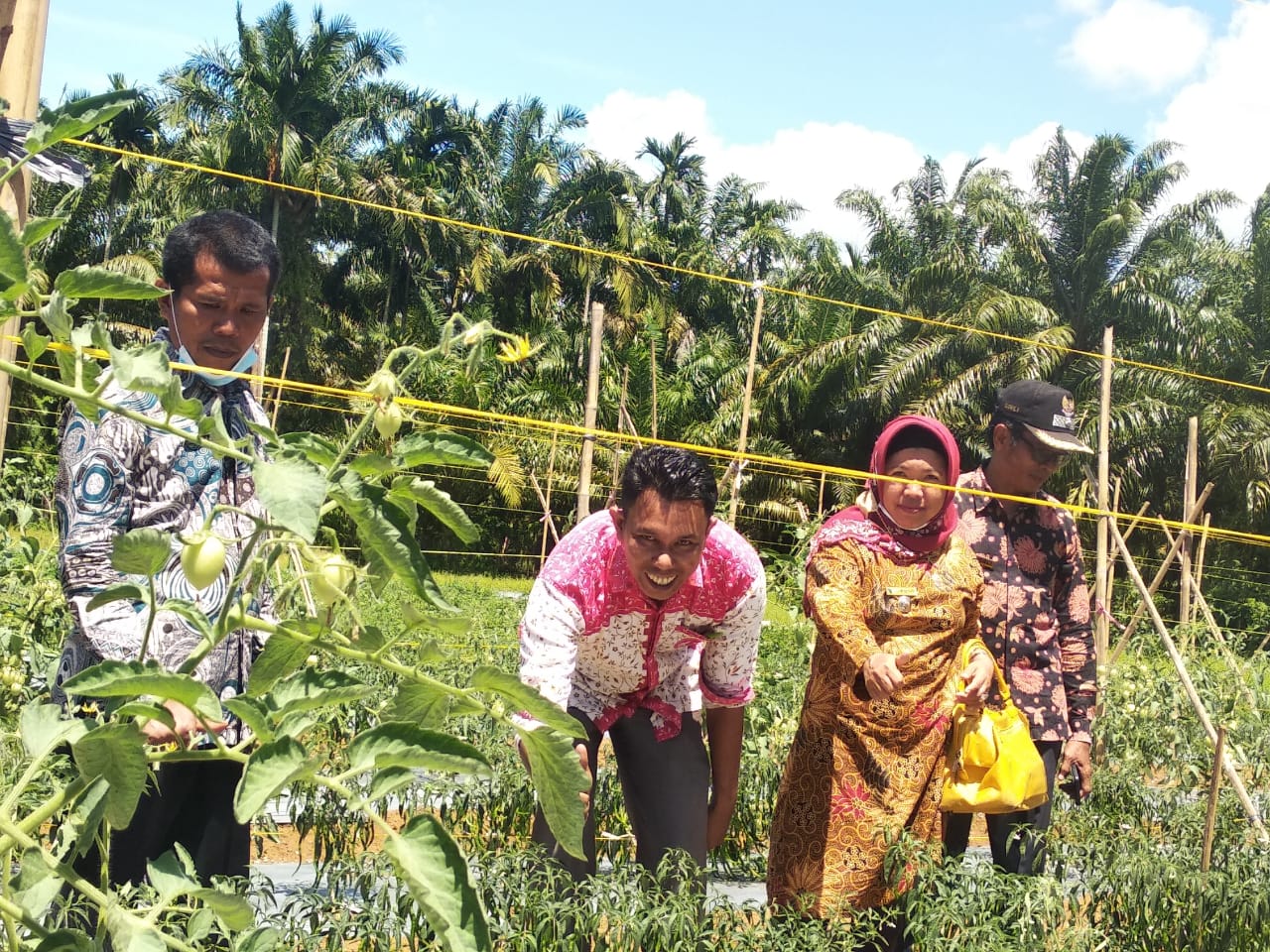 Peninjauan Perkebunan Hortikultura di Nagari Muara Inderapura Kecamatan Airpura