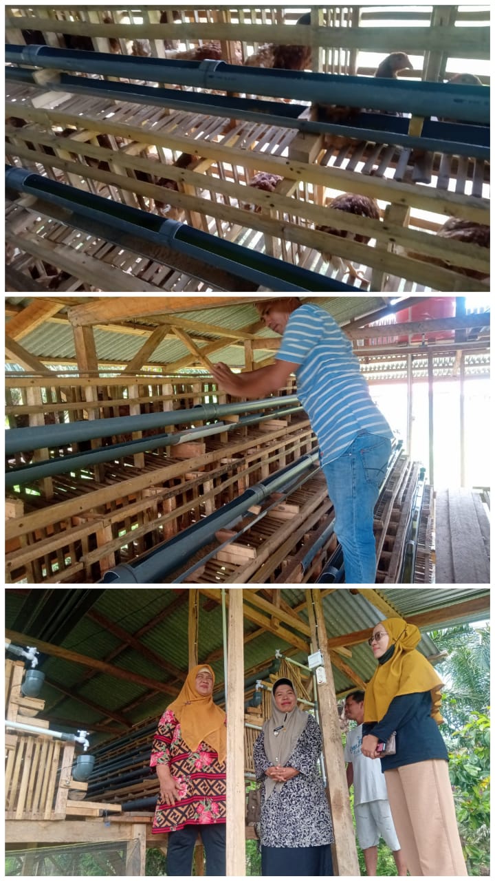 Peninjauan Ketahanan Pangan dan Hewani Oleh Camat Airpura ke Rumah Masyarakat