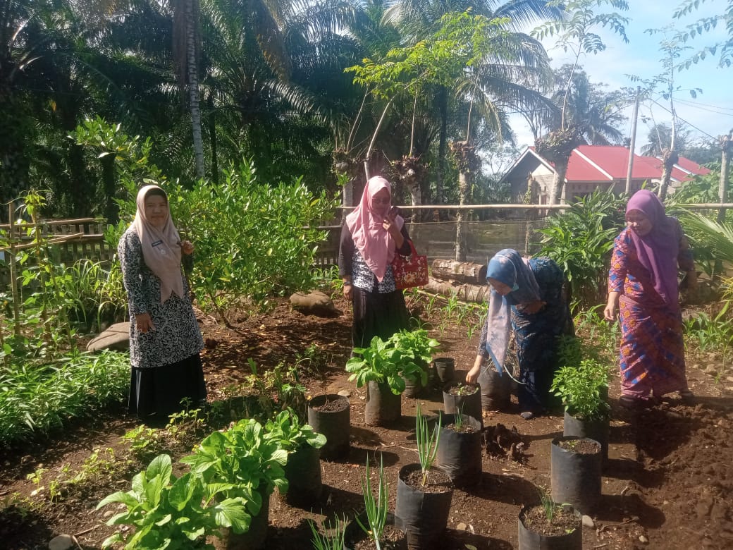 Peninjauan Rumah Sehat Oleh Camat Airpura ke Nagari Lubuk Betung Inderapura