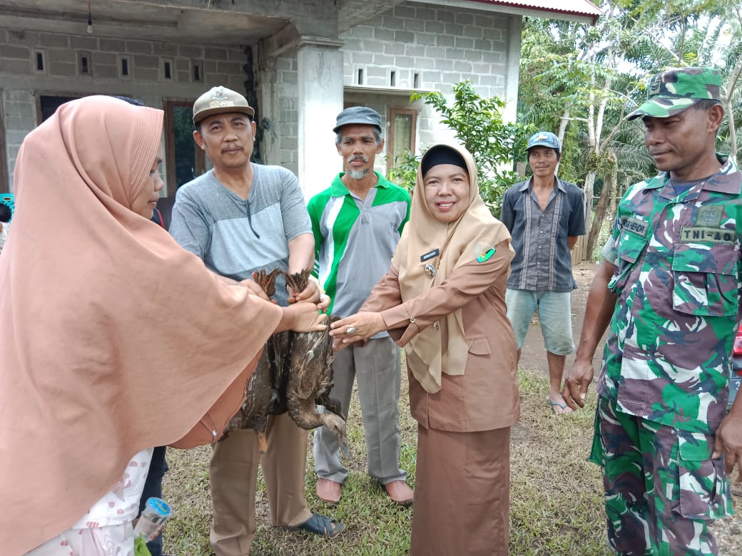 Pembagian Ketahanan Pangan Hewani berupa Itik di Nagari Lubuk Betung Inderapura